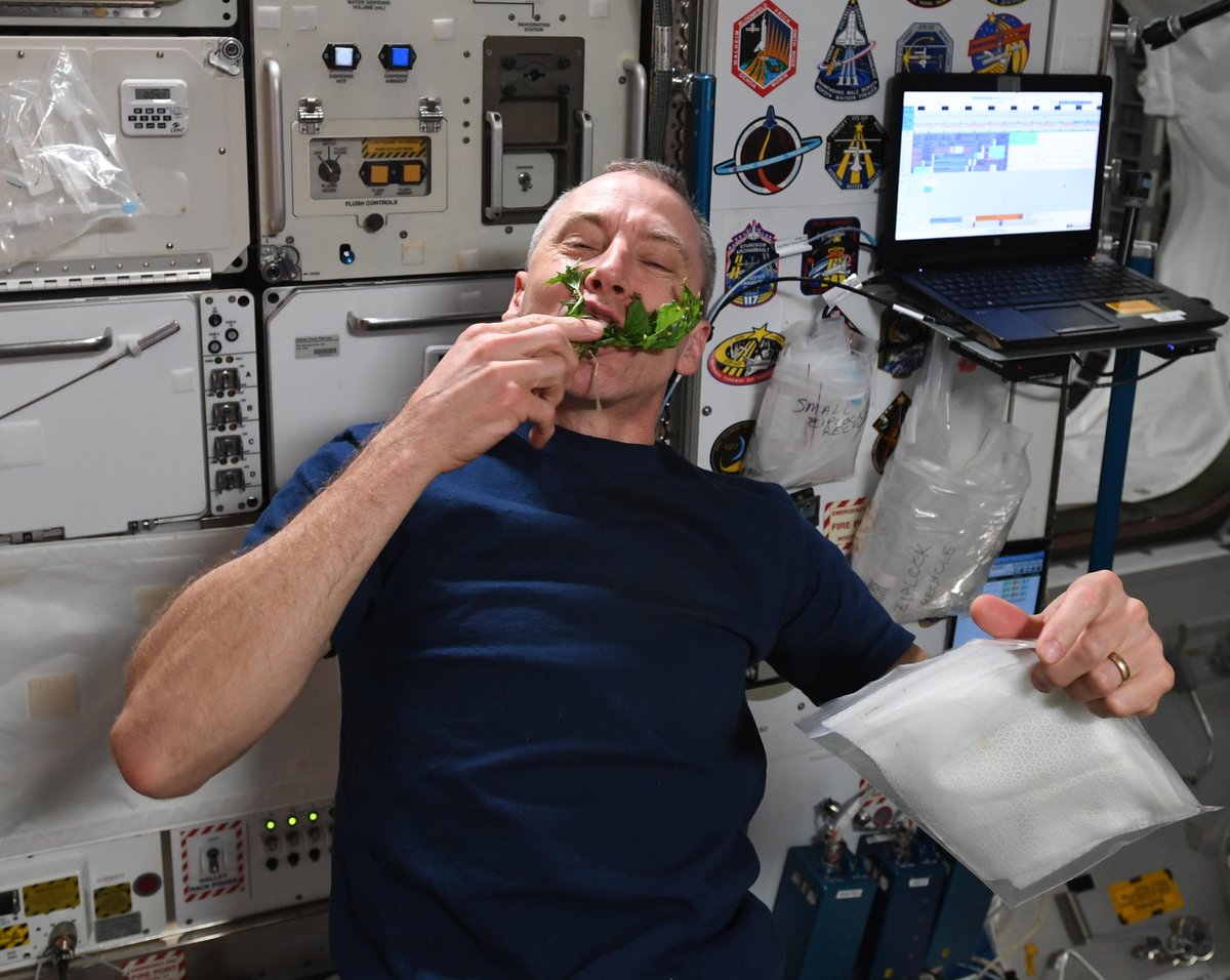 Astro_Feustel's tweet image. .@astro_ricky and I enjoying some fresh grown lettuce from the VEGGIE experiment on @Space_Station.