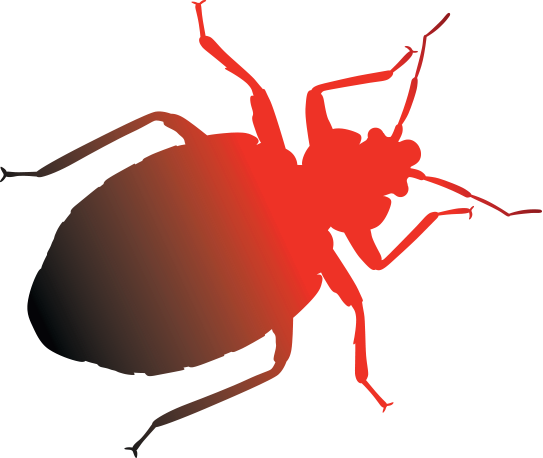 BedBugMission's tweet photo. Adult bed bugs prefer red and black but avoid yellow and green according to the results of a University of Florida and Union College experiment. https://t.co/a40BrPKjJK #bedbugs https://t.co/KFcIVtgnTW