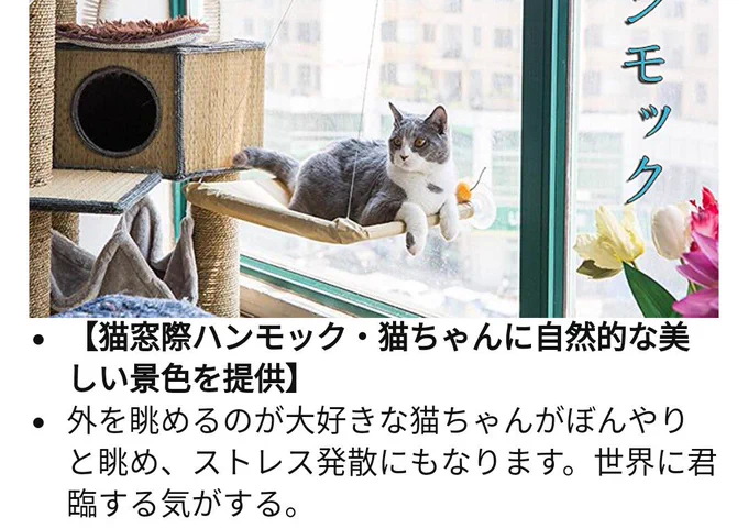 猫のハンモック探してたら不思議な日本語の最後の一文で噴き出した 