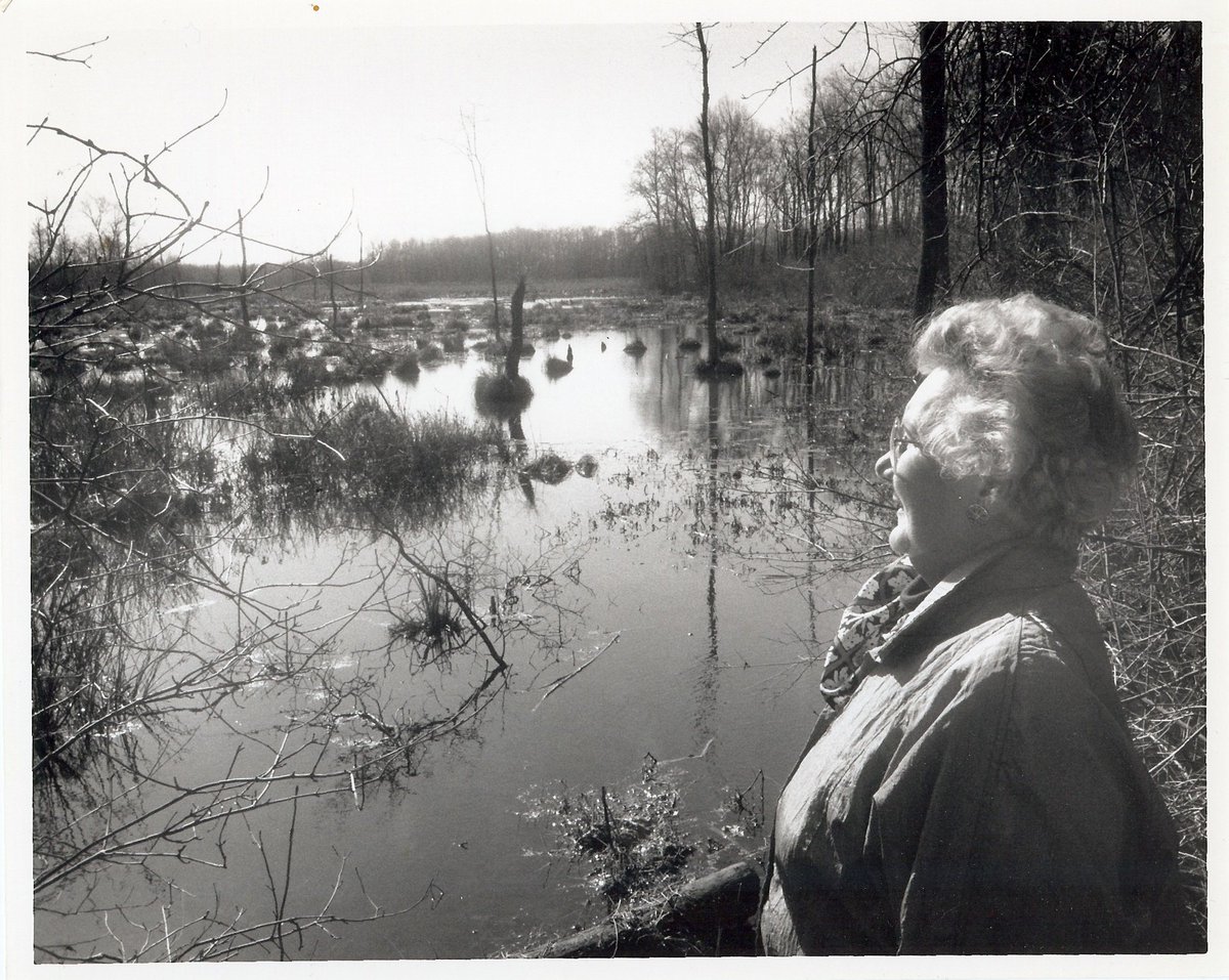 USFWSHistory's tweet photo. Great Women Conservationists: Helen Fenske (1922-2007), a founder of Great Swamp National Wildlife Refuge. 
"Reach for the stars, darling. Dream the unattainable, have humor and enthusiasm. Dream the big dreams."
-- Helen Fenske https://t.co/0QNFkRvpgy