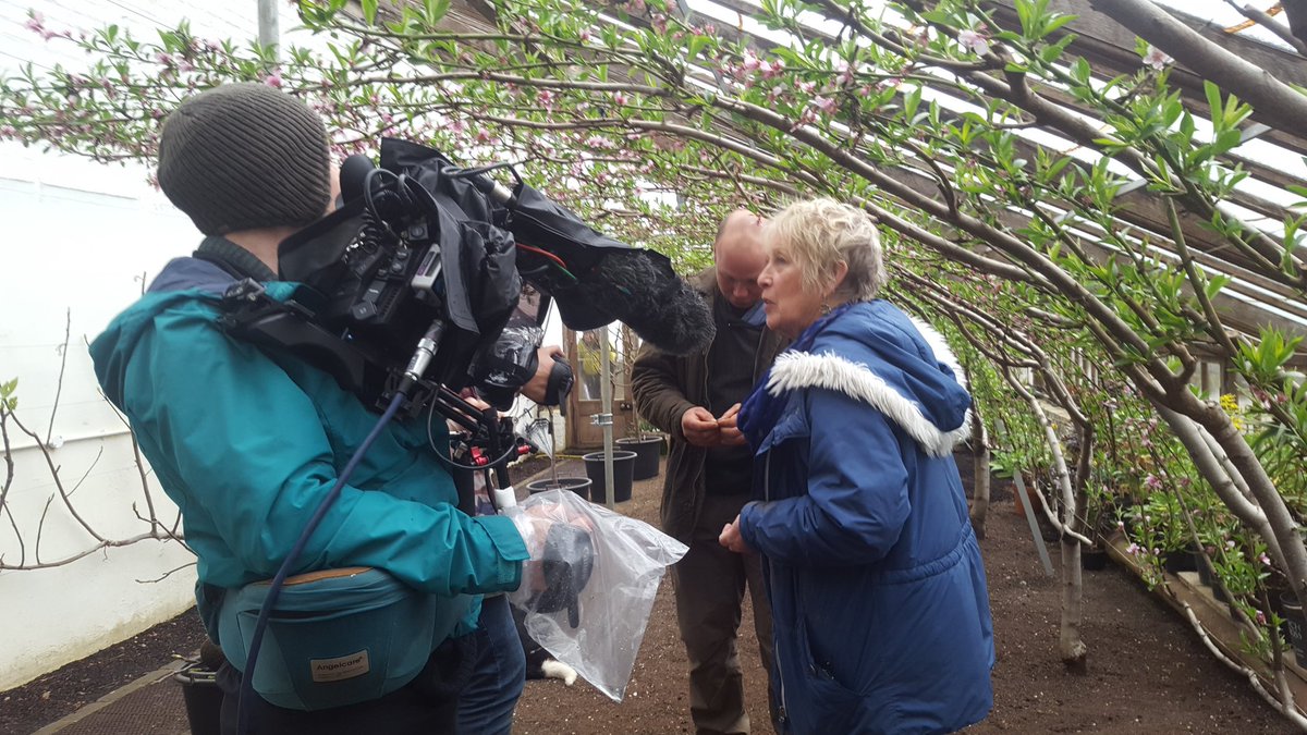 BotanicalBrown's tweet photo. Just finished a spot of filming with Carol Klein for a new gardening programme on channel 5! https://t.co/pgieXdFUsT