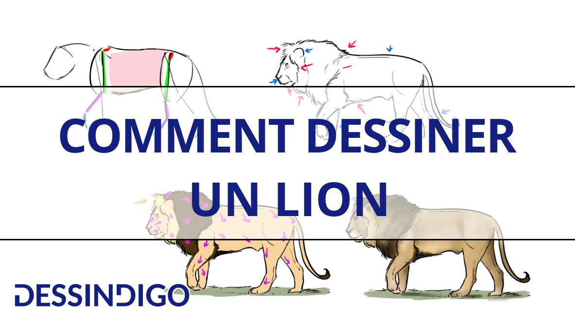 Dessindigo On Twitter Le Roi De La Savane Est à L