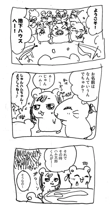 仕事やめて地下ハウス行きたすぎるって思ったけど普通にハムちゃんずに馴染めず地下ハウスも辞めそうと思った漫画 