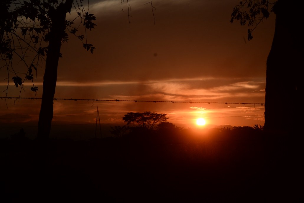 RodrigzTuit's tweet photo. Tierra de mitos y leyendas en donde reina la naturaleza, eso es Yaracuy, tierra de hermosas montañas y verde infinito #28DeMarzoDiaDelEstadoYaracuy https://t.co/YpJQdCtnOz