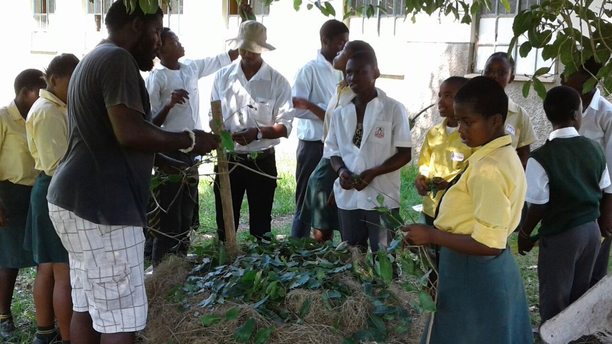 ftfa's tweet photo. FTFA facilitated a workshop on permaculture at Thubalethu Secondary School in Ngonweni, Kwa-Zulu Natal. The learners had a delightful day with the team & engaged enthusiastically in bed preparation, transplanting and making of compost heaps. #WhatDevelopmentLooksLike #eThekwini https://t.co/d3yHtfL0XA