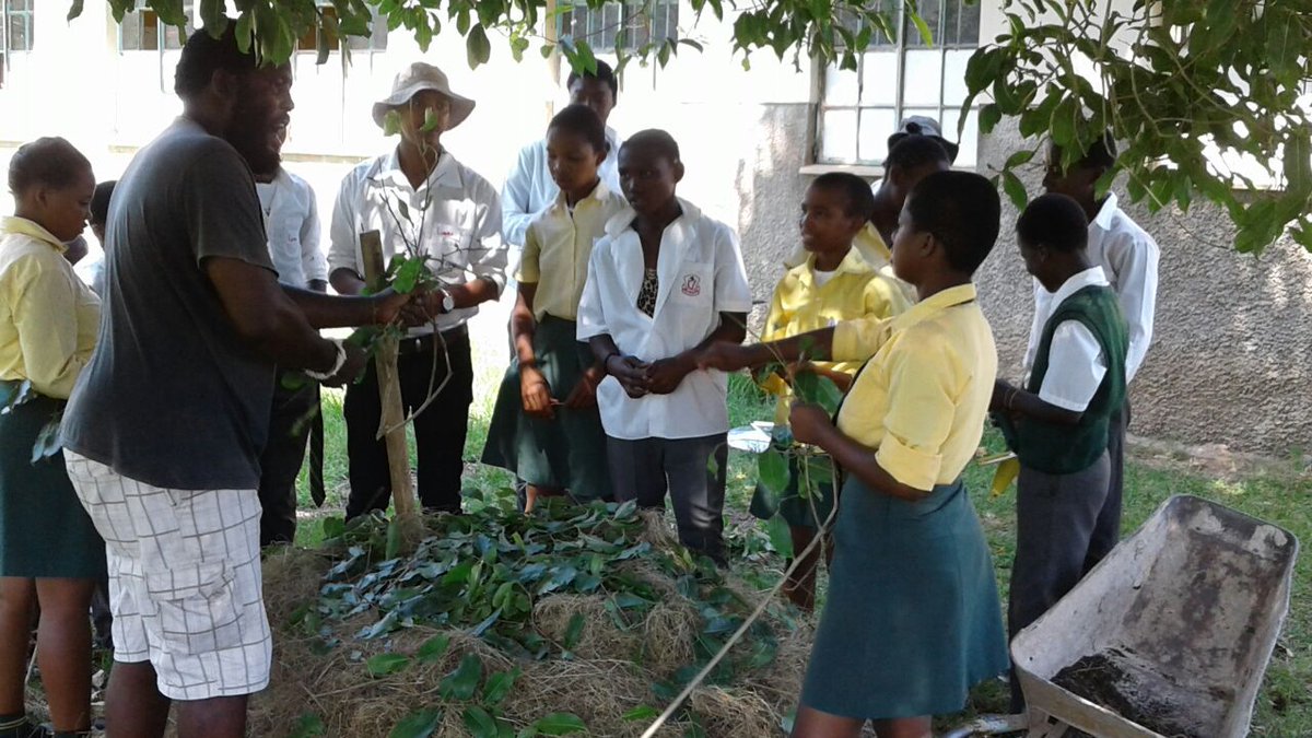 ftfa's tweet photo. FTFA facilitated a workshop on permaculture at Thubalethu Secondary School in Ngonweni, Kwa-Zulu Natal. The learners had a delightful day with the team & engaged enthusiastically in bed preparation, transplanting and making of compost heaps. #WhatDevelopmentLooksLike #eThekwini https://t.co/d3yHtfL0XA
