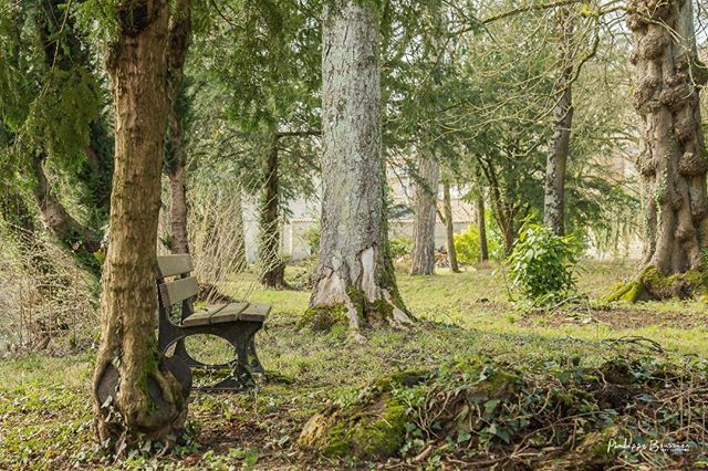 Jett1oeil's tweet photo. Instant Nature...
.
#instaprintemps79 #saintmaixentlecole @ondine_hvs79 @basousmarine #hvs79
.
#igersniort #igersfrance #igersdeuxsevres #france4dreams #nouvelleaquitaine #nelleaquitaine_focus_on #france_focus_on #so_photo #sudouest_focus_on #hello_franc… https://t.co/dBMdLoJYT6 https://t.co/AXcbMnrKwz