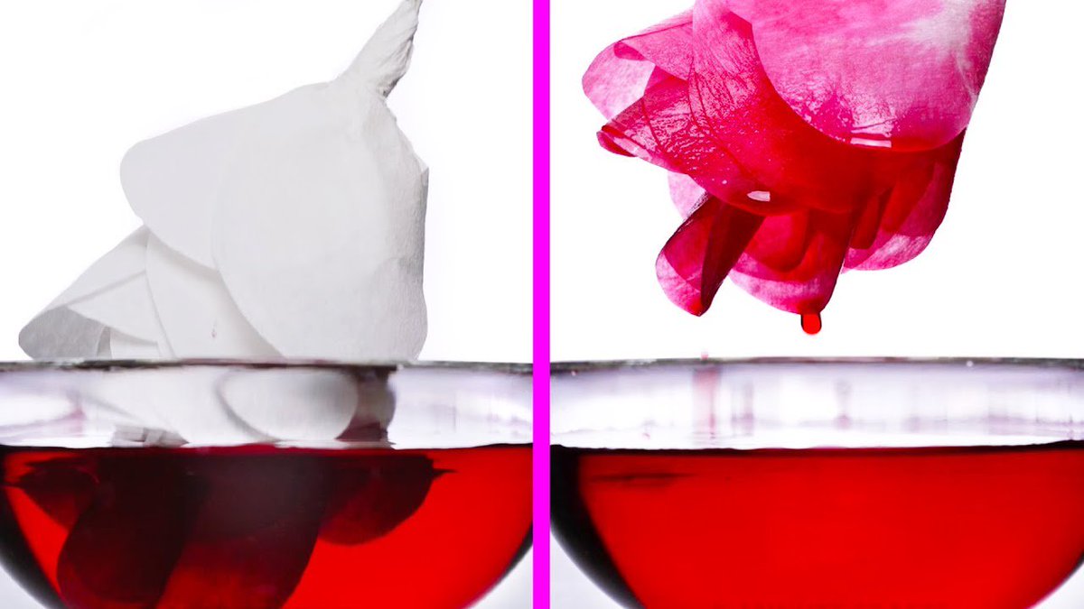 cintalogi's tweet photo. 15 INCREDIBLY BEAUTIFUL PAPER CRAFTS AND HACKS https://t.co/YbJ7iak5ri https://t.co/KQYCUXJkEp