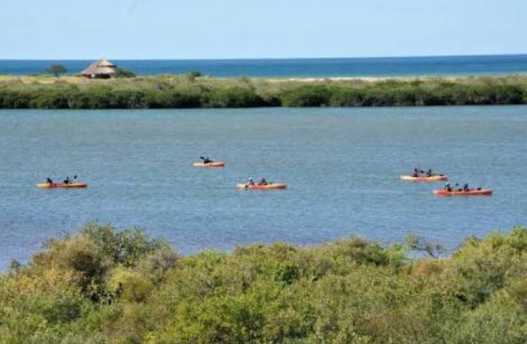 RSonoraFM's tweet photo. El Estero El Soldado estará abierto de 8 a 15 horas para que los visitantes recorran el área natural protegida en el cual podrán disfrutar de actividades de turismo de naturaleza, recorridos por el sendero interpretativo, paseos en kayaks o en bicicleta. ¡No te lo pierdas! https://t.co/d7KLYkECxc