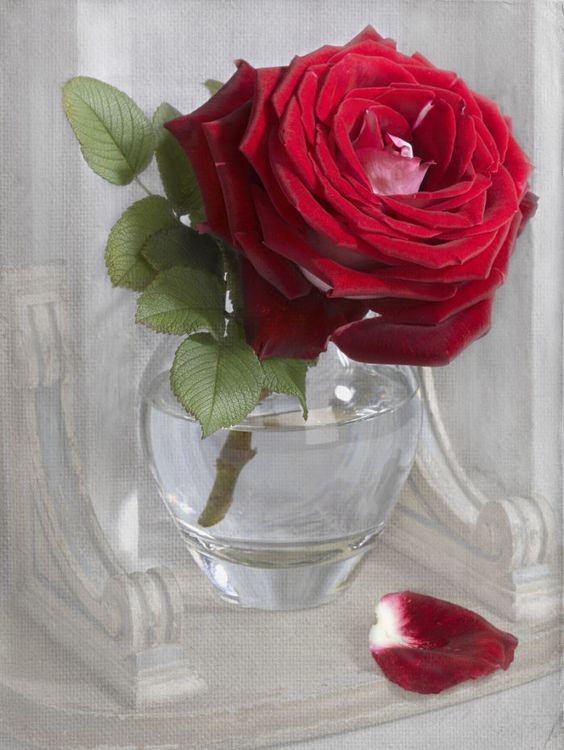 <a href="/AABB123mm/">رنيم</a>