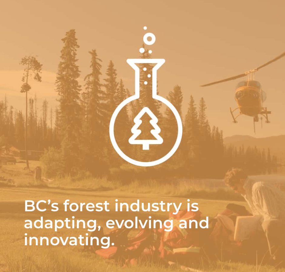 TimberWest tweet media