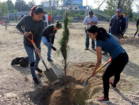 MEDIOAMBIENTEAG's tweet photo. Esta mañana se realizó la plantación de 500 árboles en un predio ubicado en la zona del estadio y monumental asta bandera de la UAA. Acción que tiene como propósito la recuperación de los árboles que fueron retirados por las obras de construcción en la zona norte de la ciudad. https://t.co/DXlOKtz2KY
