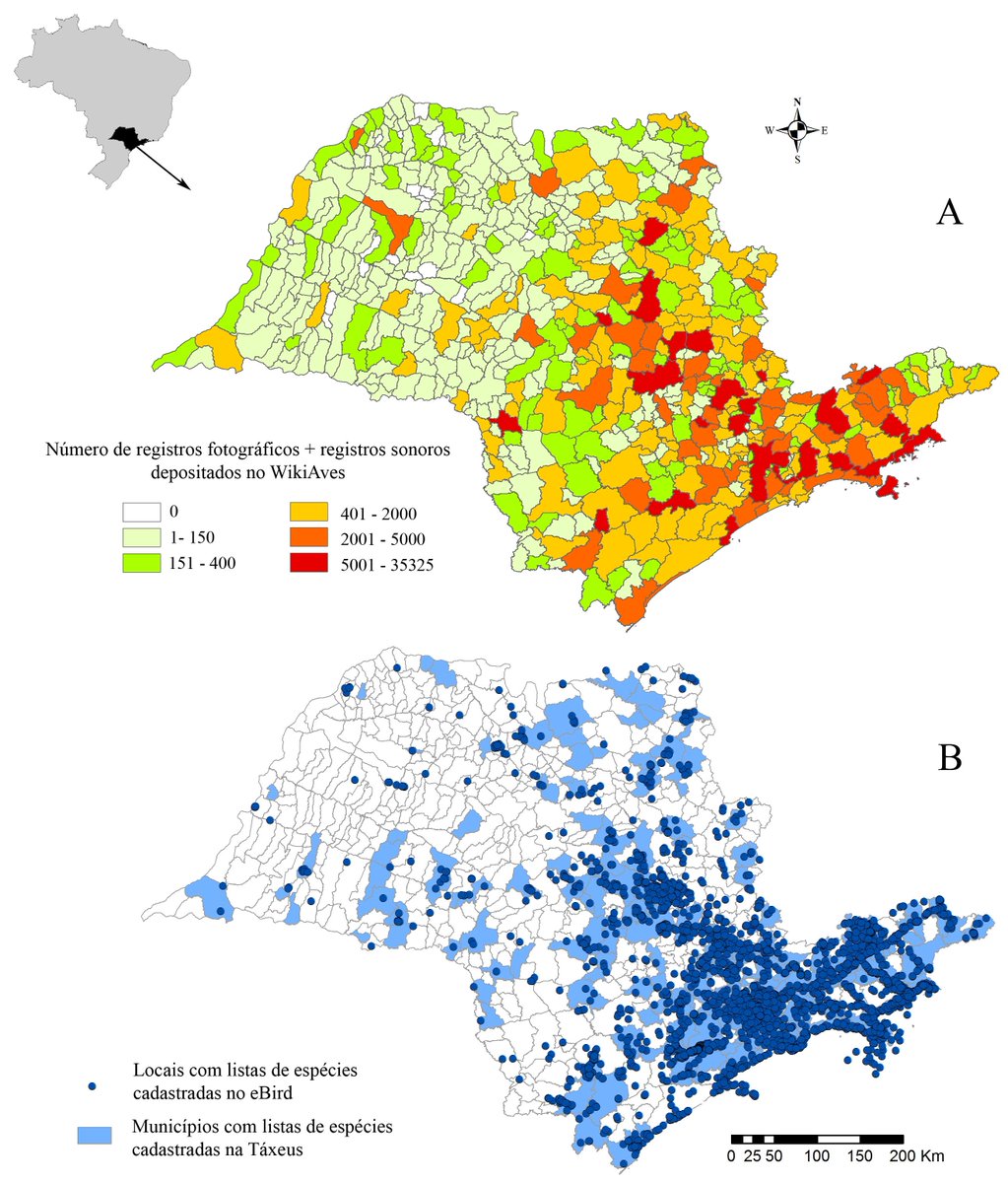 Agri_Birds's tweet photo. Published paper (in Portuguese): Alexandrino et al. 2018 Regiões paulistas carentes de registros ornitológicos feitos por cidadãos cientistas #citizenscience #atualidadesornitológicas #eBird #Wikiaves #Taxeus #observaçãodeaves #ciênciacidadã https://t.co/00vS8ADBXo https://t.co/SSIxxoFOCC