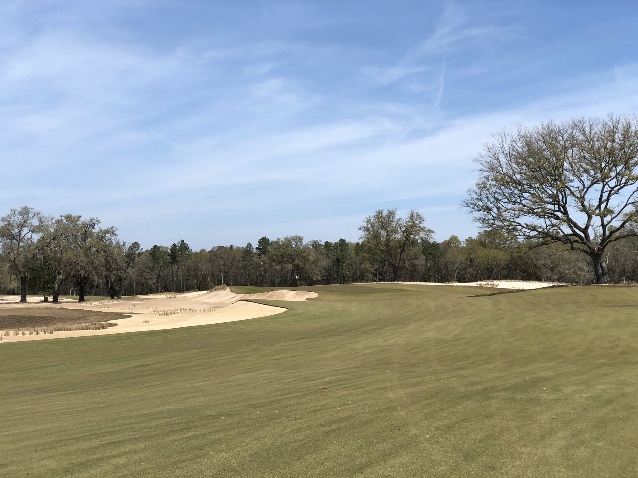 Zac Blair on Twitter "Was lucky enough to get and play Congaree today