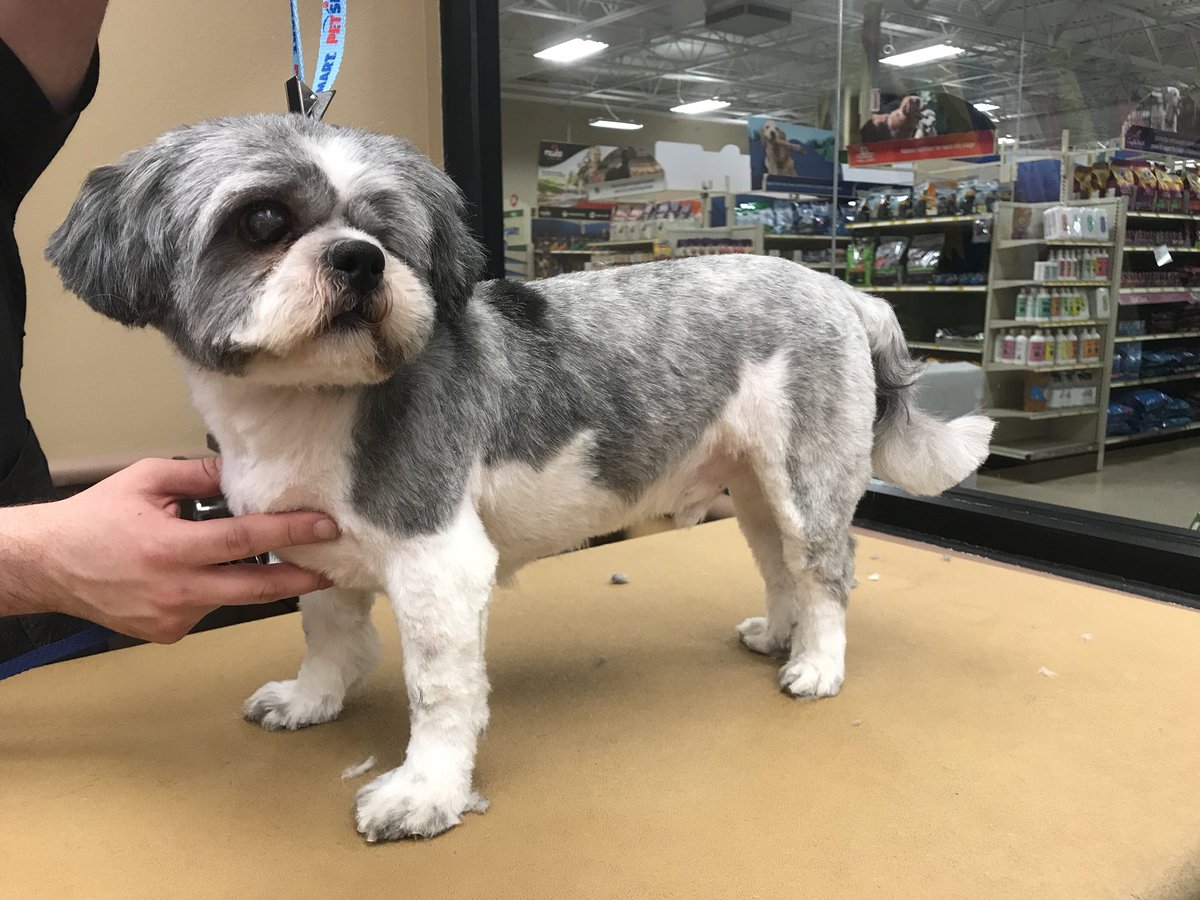#northeastgrooming #cne #1800 #extrememakeover by robin