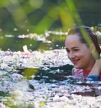 nurplj's tweet photo. Alguien me explica la obra de Arte😍 y lo DIOSA que es esta mujer 🤤me tiene absolutamente enamorada 😏🔥🔥🌸 #DakotaJohnson  #GucciBloom  #MuseGucci https://t.co/uJf9kyfwmk