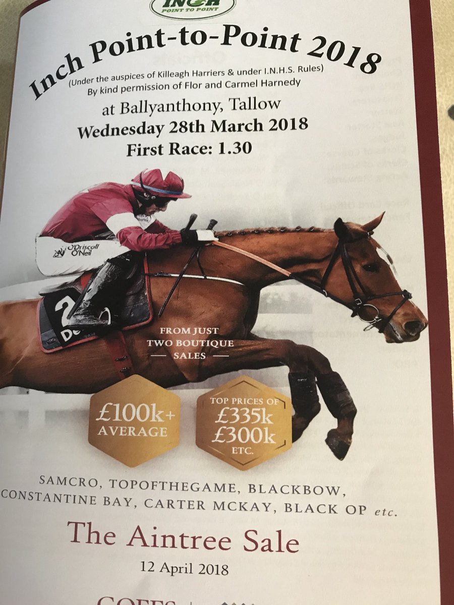 Hotel Minella tweet media