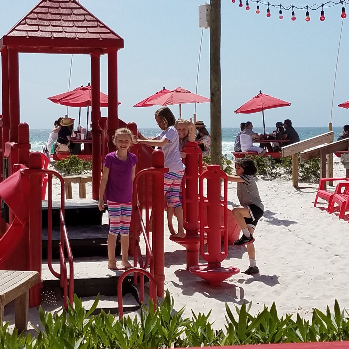 jsauer41's tweet image. 