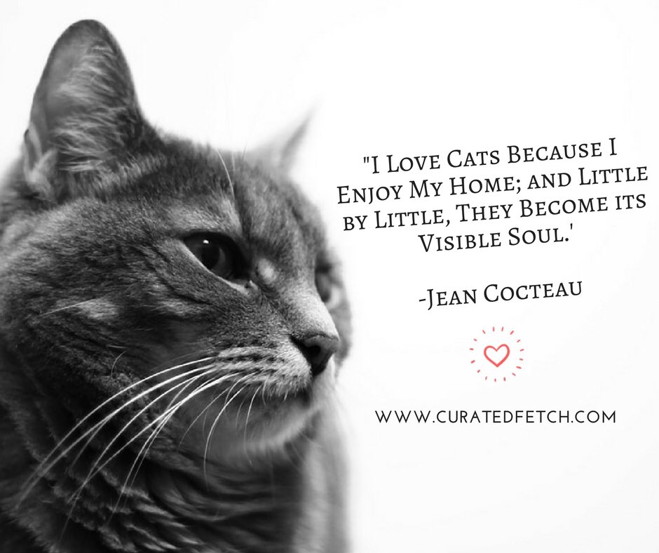 curatedfetch's tweet image. 