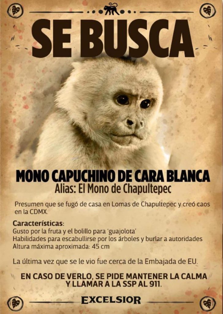 ricardovitela's tweet photo. https://t.co/Xk3JL3AA40