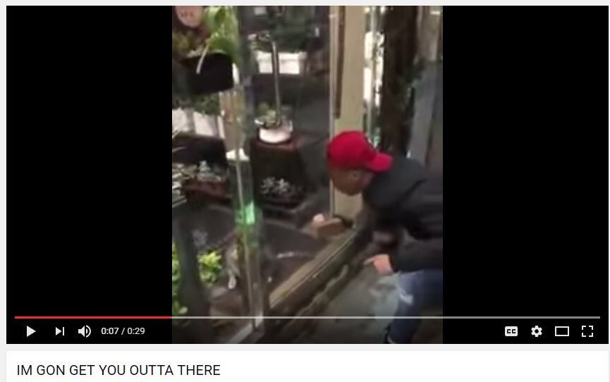 Sath (@satherax) on Twitter photo 