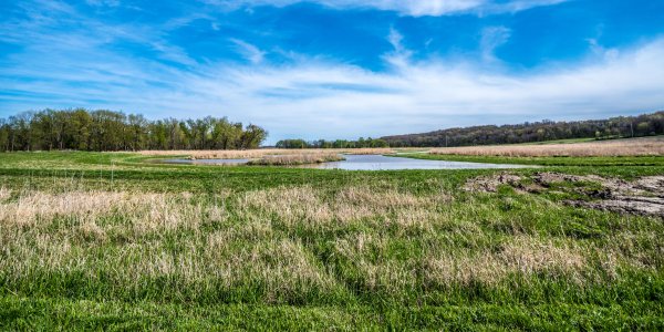 Is Iowa Gaining Traction Against the Hog Industry? ow.ly/Oy2d30jcOKC