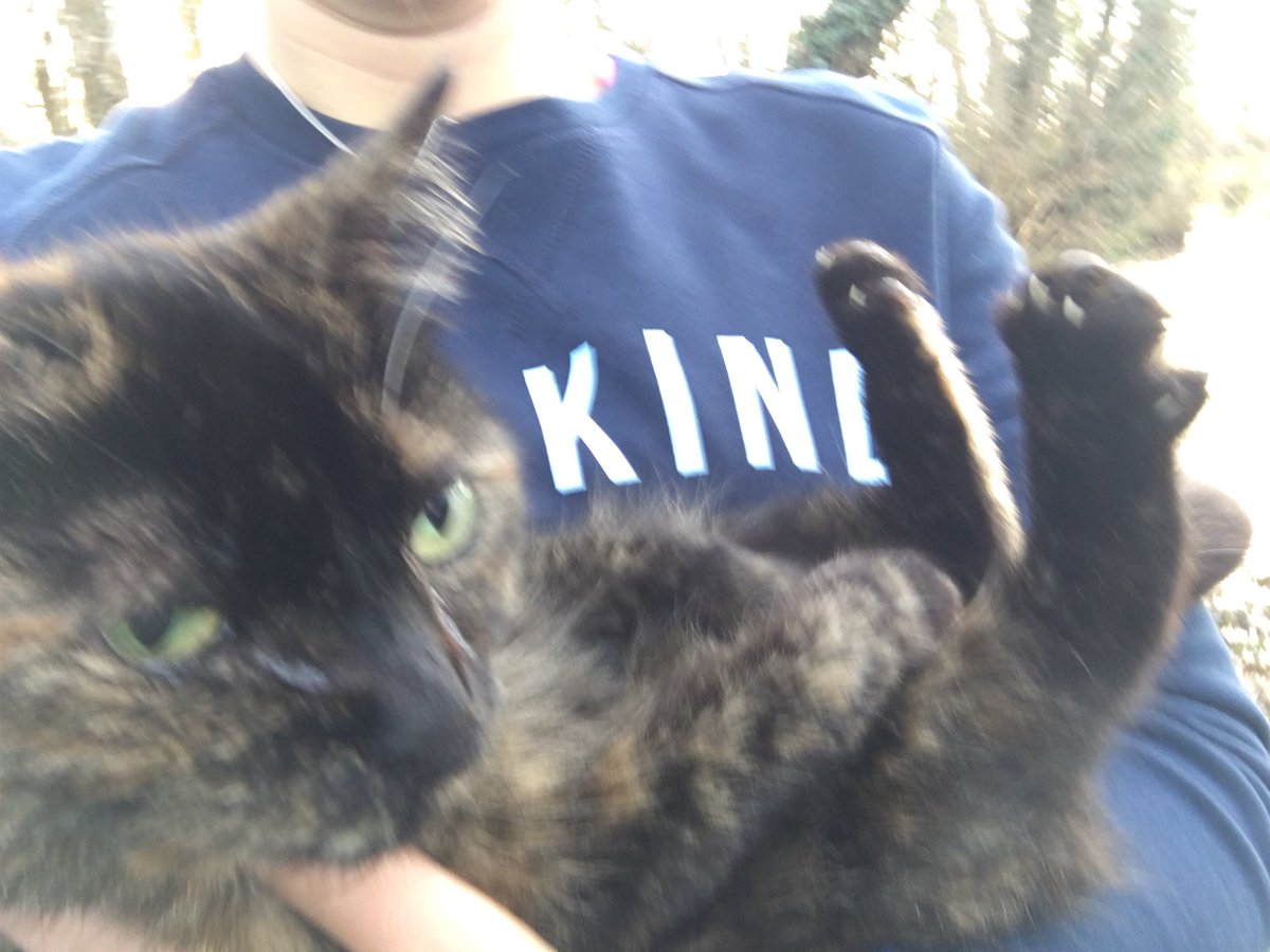 Toastthecat's tweet photo. Mum had to find me up the river and carry me all the way home (it's far for a cat) after a very very hard exercise class.
Her top says "be kind" (donations to vetlife in memory of a friend) though I heard her mutter some pretty not kind words just now... #cat #bekind #smithwebb https://t.co/ghmwJ48dXz