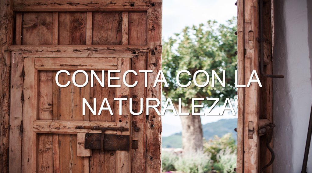 10 RAZONES POR LAS QUE SALIR AL CAMPO eventsofexcellence.wordpress.com/2018/03/28/10-…