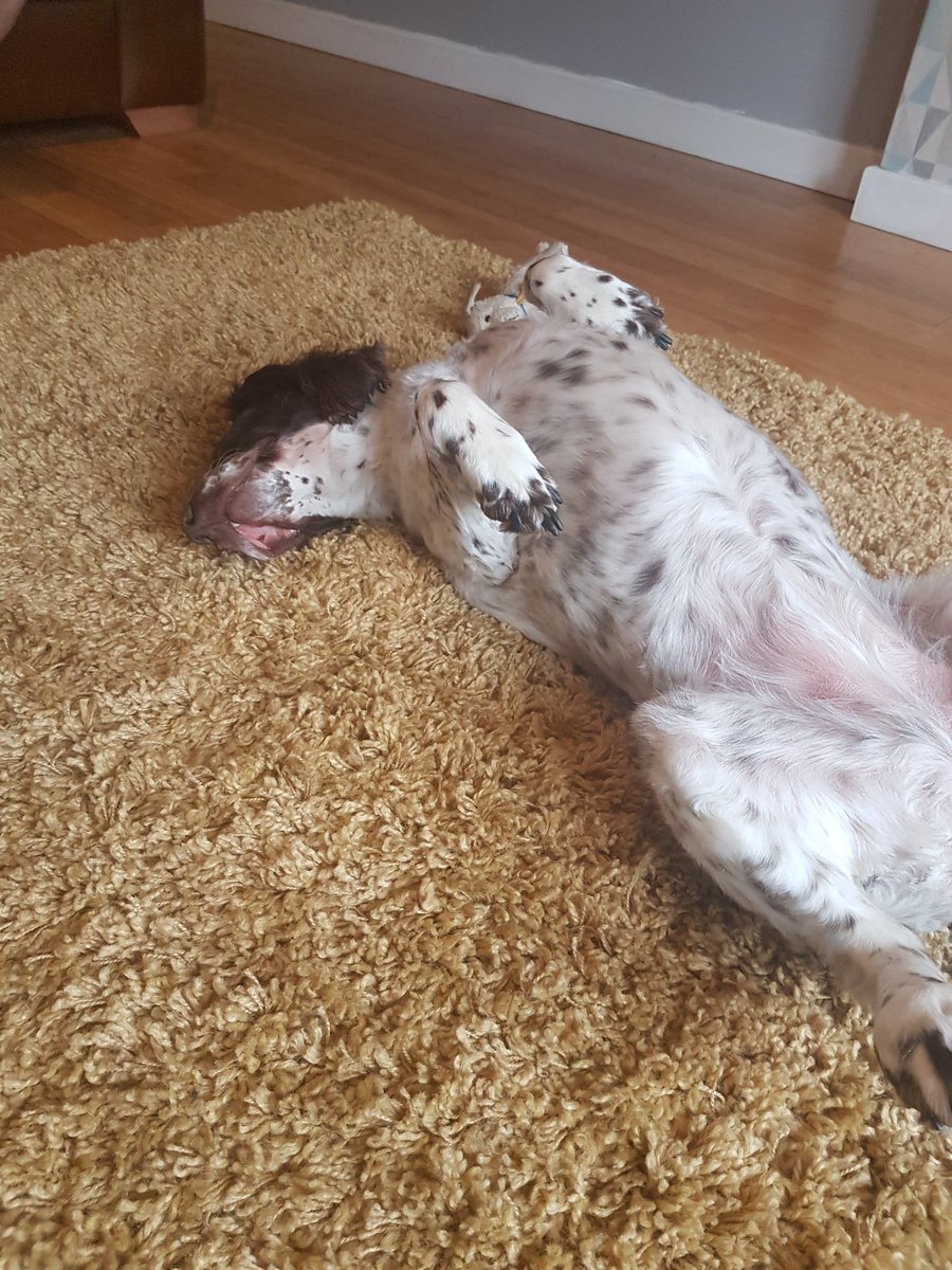 adelejags's tweet image. It's a hard life 🤣