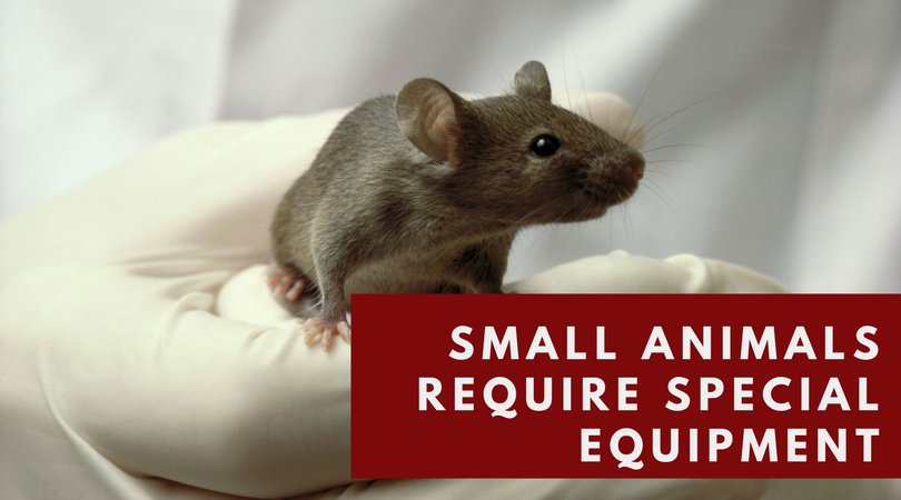 KentScientific's tweet image. Are you monitoring your animals? When you're working with live animals in a research setting, precise physiological monitoring is crucial, both to ensure the safety &amp;amp; comfort of the animals and to obtain the best scientific results. Via #kentconnects: goo.gl/qB6ncE