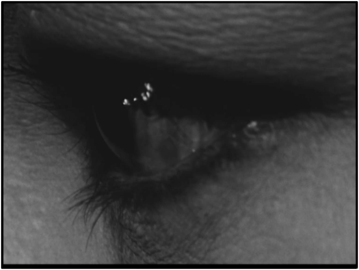 tonyedd_'s tweet photo. "I've just filled the gap in mind"

#FaceOfAnother #HiroshiTeshigahara https://t.co/g7DPV1c7cp
