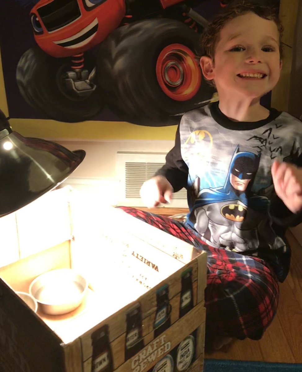 scienceatspeas's tweet image. A parent just sent me these photos of one of my GrK students who after learning about our chicks, told her "all" about them &amp;amp; built a habitat at home to practicing caring for them. Creativity &amp;amp; curiosity fabulous learning!😁😘 @SpeasGlobal @ibpyp