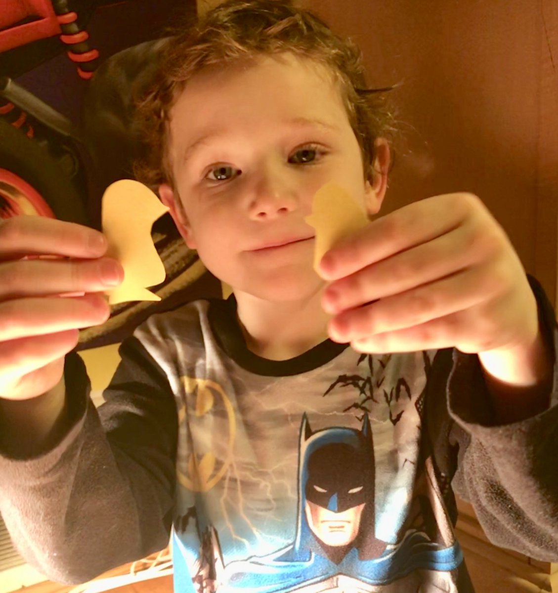 scienceatspeas's tweet image. A parent just sent me these photos of one of my GrK students who after learning about our chicks, told her "all" about them &amp;amp; built a habitat at home to practicing caring for them. Creativity &amp;amp; curiosity fabulous learning!😁😘 @SpeasGlobal @ibpyp