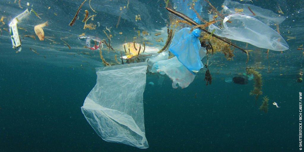To protect #OurOceans, we need a phenomenal effort to fight #plastic waste. Are you with us? ✊