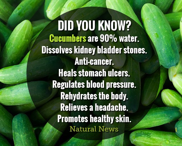 HealthRanger's tweet photo. Did you know this about cucumbers? #health #naturalhealth #nutrition https://t.co/zpPrZe30zc