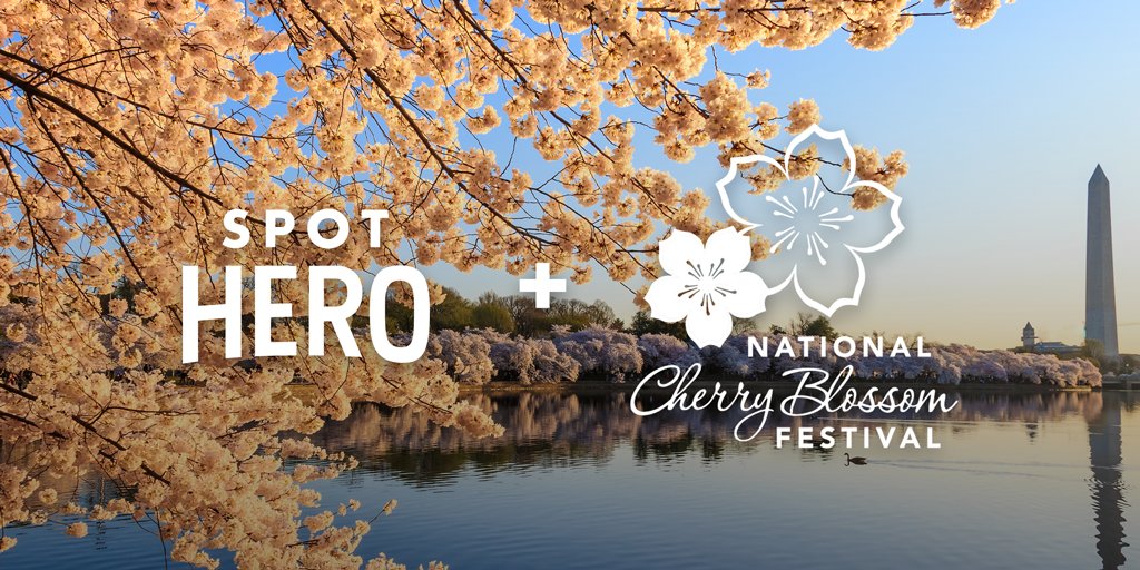 Cherry Blossom Festival Parking Dc