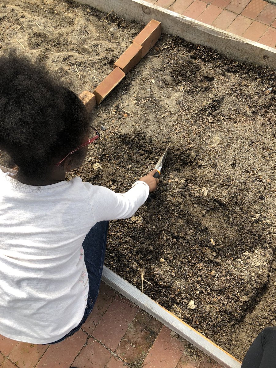 MrsHahnSP's tweet photo. Today we planted radish and zinnia seeds in our school garden beds! 🌱 #AESowltheway https://t.co/RZYkf6liPo