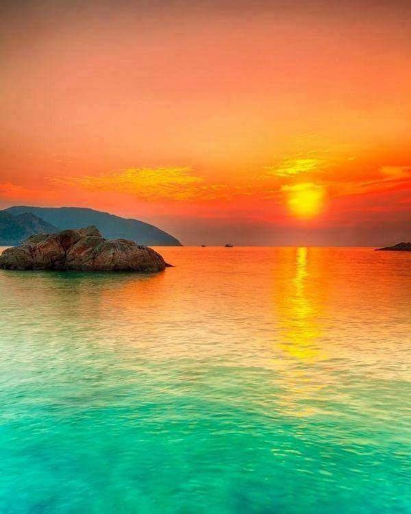NiceBoyKimo's tweet photo. From a sea of emerald green to sunburst red, what a sight!
Wish you happy evening 🧡

#goodvibesonly https://t.co/1Q52zXHsQt