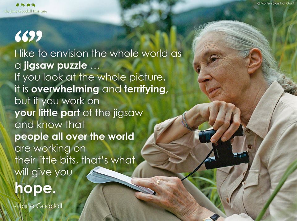 #BetterYourselfIn3Words BE LIKE JANE! Do you feel overwhelmed by deforestation, loss in environmental & species regulations/protections, conflict, climate change, & other major issues? YOU can make a difference if you believe in yourself. How do you make a difference? #belikejane