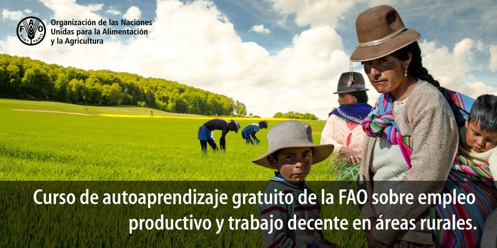 FAOAmericas's tweet image. Nuevo curso: #EmpleoProductivo y #TrabajoDecente en áreas rurales. #UNFAO lanza #CursoGratuito de #autoaprendizaje orientado a especialistas e interesados en políticas de #DesarrolloRural, #SeguridadAlimentaria y reducción de la pobreza. ow.ly/qtav30jcT6X
