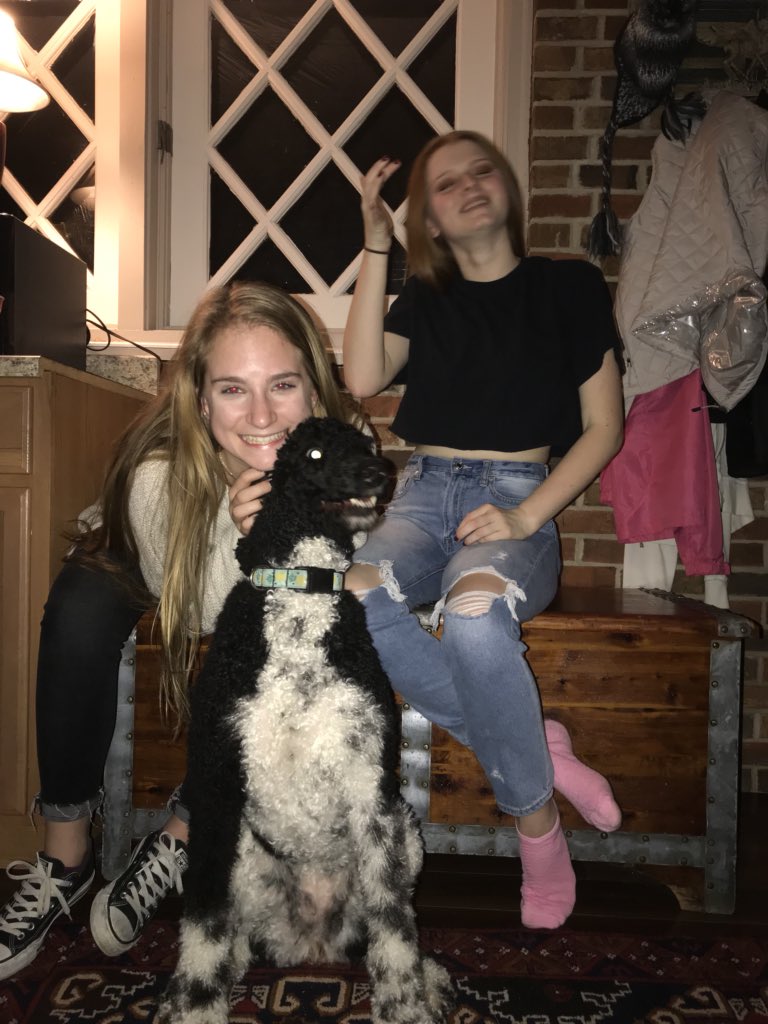 Happy bday emma!! lol thanks for always laughing at my jokes!! hope your day is filled with chris d elia and CV    