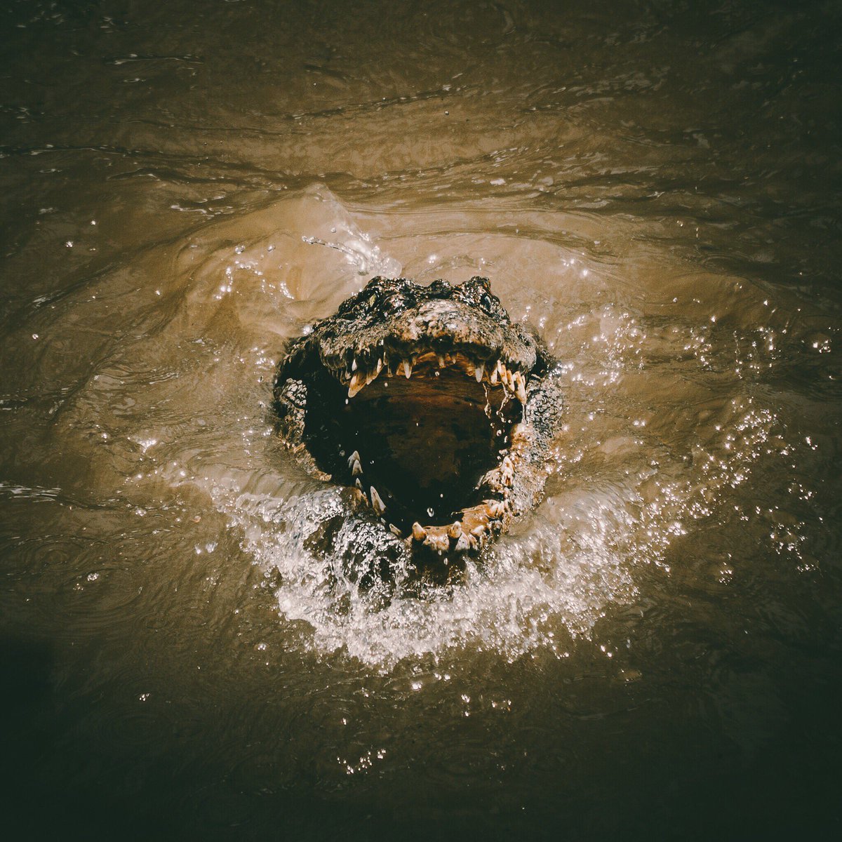 Jerome Silvere (@itsimplyjerome) on Twitter photo 