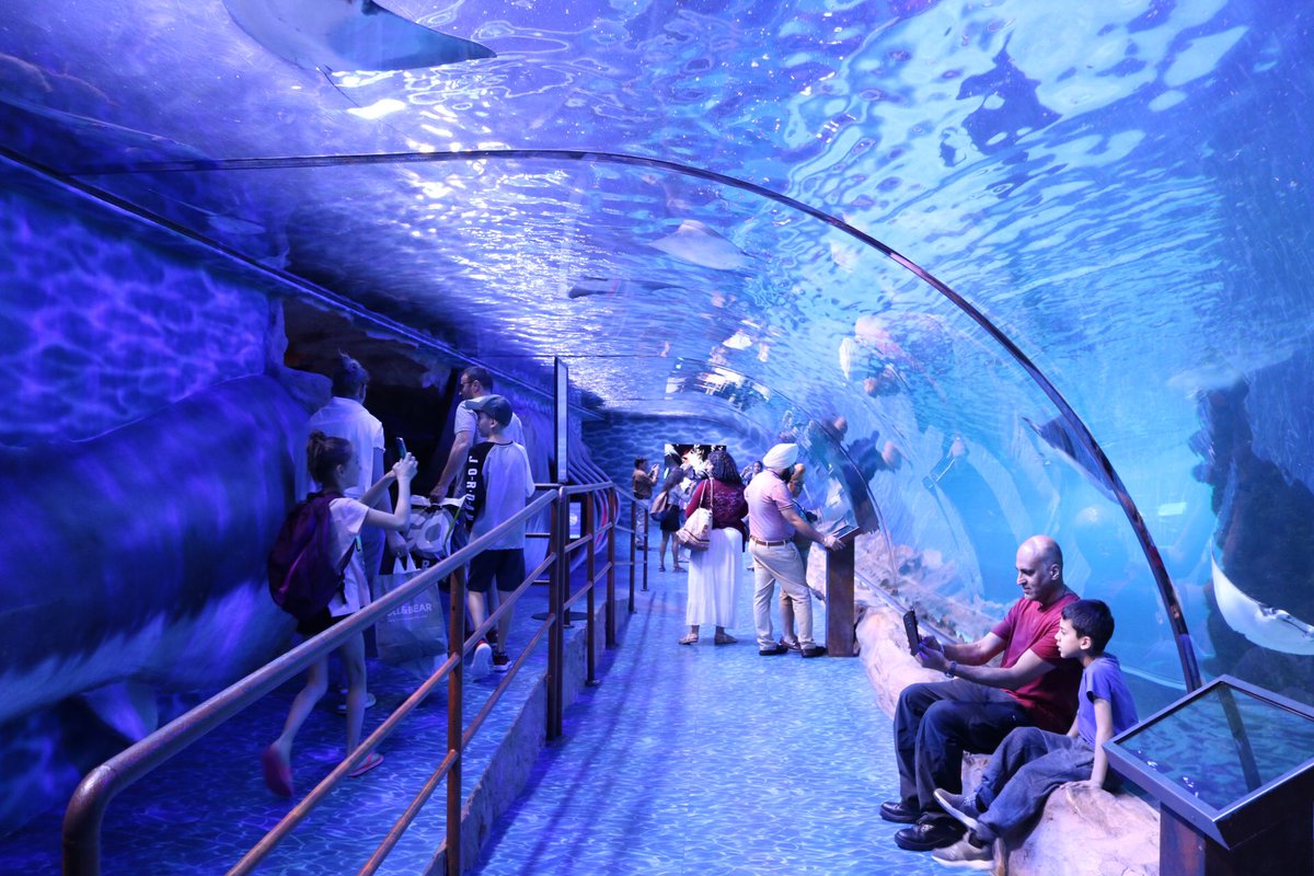 Ari On Twitter The Dubai Mall Aquarium