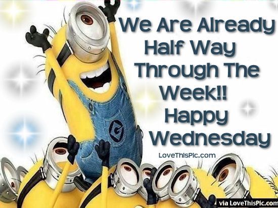 RobWestPlumbing's tweet photo. It's Wednesday already...you got this... Happy Hump Day from @RobWestPlumbing https://t.co/XE3HWlsgSp