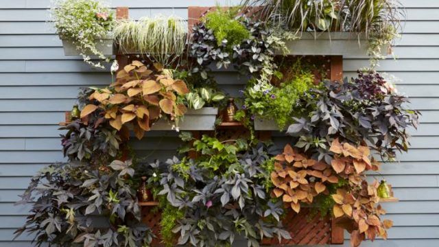 BloomingSecrets tweet media