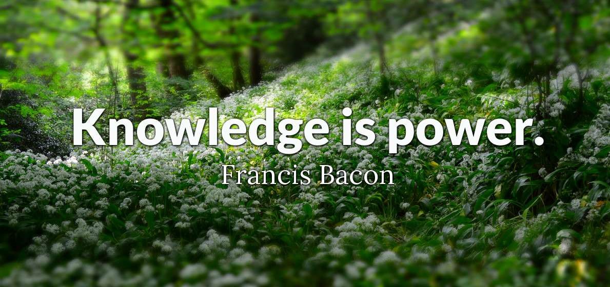 Agree2SaveATree tweet picture