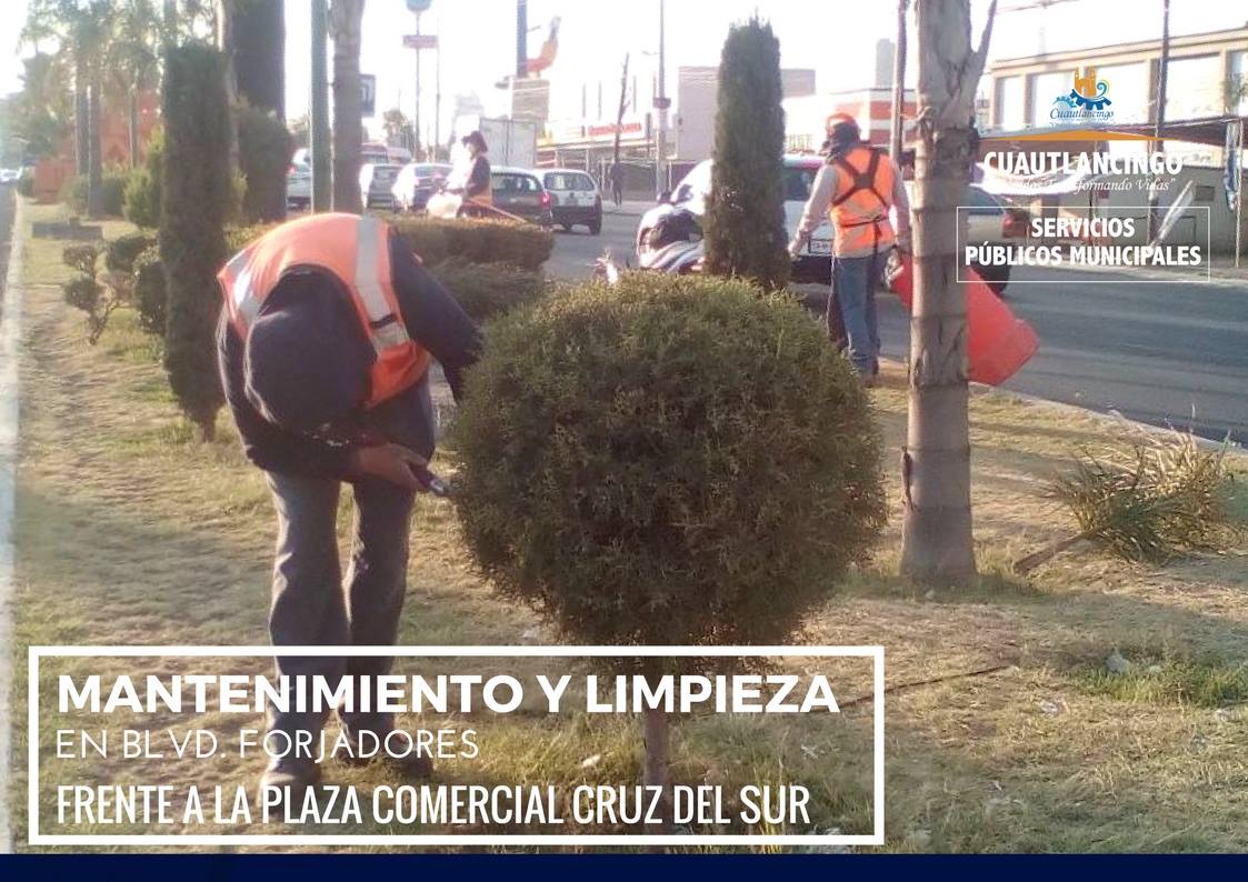 ObrasP042's tweet photo. La Cuadrilla de Parques y Jardines dio mantenimiento y limpieza a las áreas verdes en el camellón central del Blvd. Forjadores, frente a la Plaza Comercial Cruz del Sur. Con el objetivo de contribuir al cuidado del medio ambiente. #SPMCuautlancingo #Cuautlancingo https://t.co/4WkAsloPno