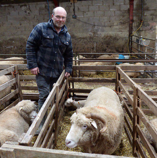 National Trust takes the lead with a request for responsible dog walking goo.gl/FSukXS