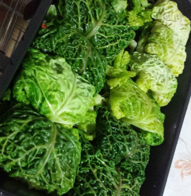 LaTeteraVerde's tweet photo. Hoy pruebo una receta de sarmale. ¡La cocina rumana es una fuente de deliciosos pecados gastronómicos! Aún recuerdo los primeros que probé hechos por la madre de una amiga. Es difícil competir con ellos... pero espero que al menos se parezcan 😂 https://t.co/ZblLTnn3GV https://t.co/82ywUKdgFo