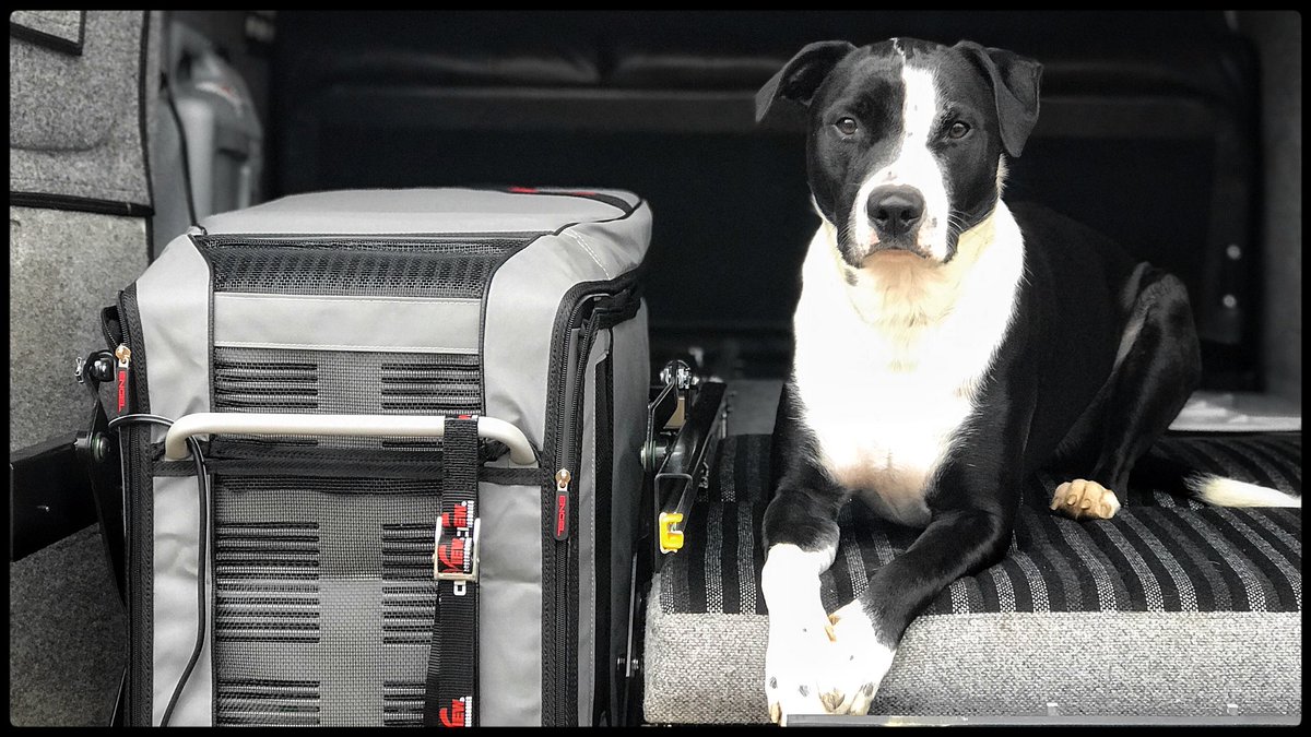 gloriavanibuilt's tweet photo. Perhaps we’ll move the Pantry/Kitchen to the rear of our #CamperVan? Although #K9Lander would not be happy, that’s “his spot” where guards the food &amp; drinks inside our @EngelCoolers Refrigerator/Freezer. https://t.co/P2jmunibSt https://t.co/qVuRChDjpK